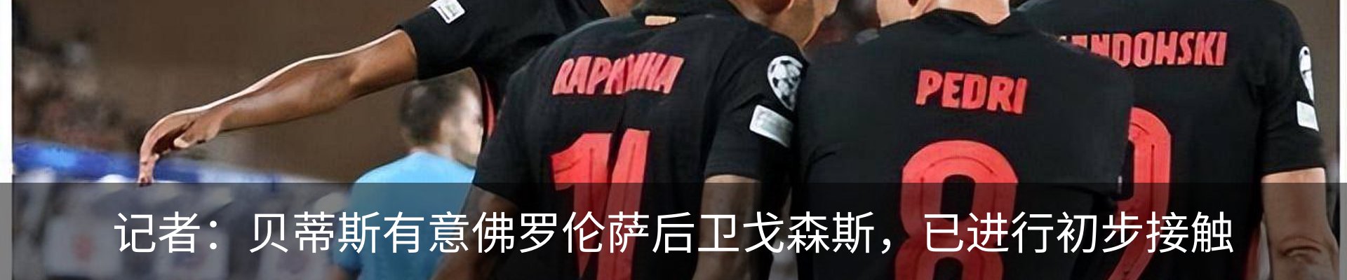 资讯动态